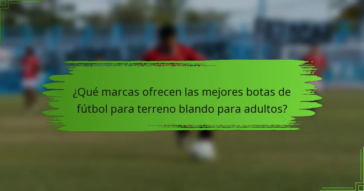 ¿Qué marcas ofrecen las mejores botas de fútbol para terreno blando para adultos?